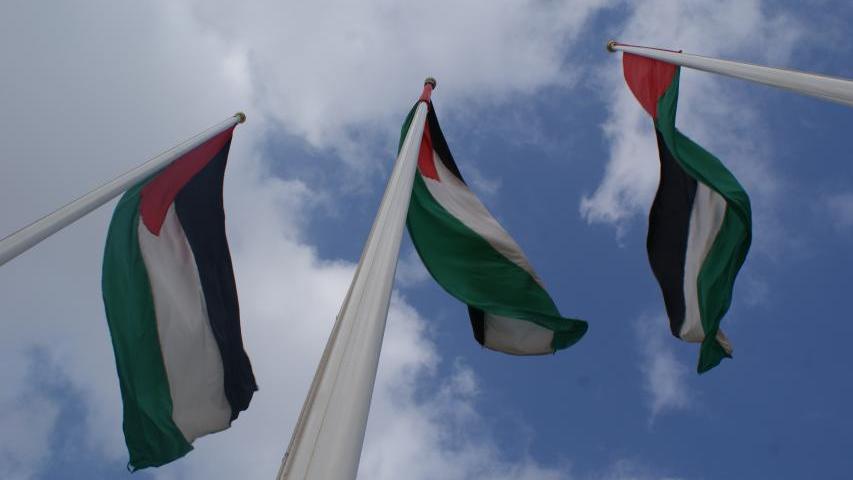 Palestina rights
