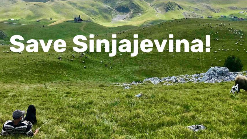 Sinjajevina