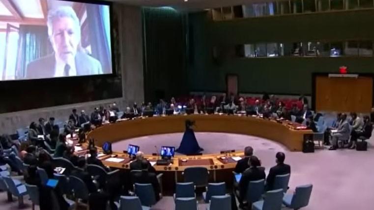 Roger Waters security Council