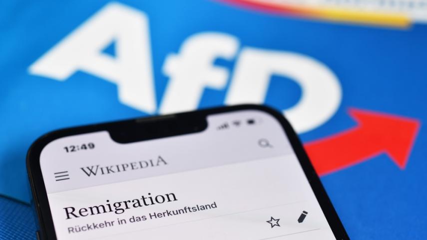 remigratie