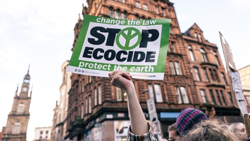 ecocide