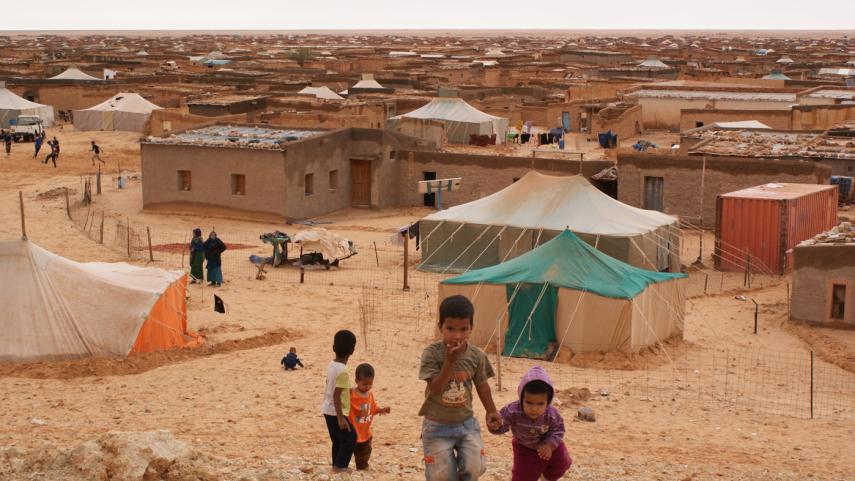 Sahrawi