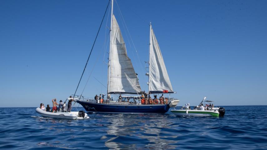 Flotilla
