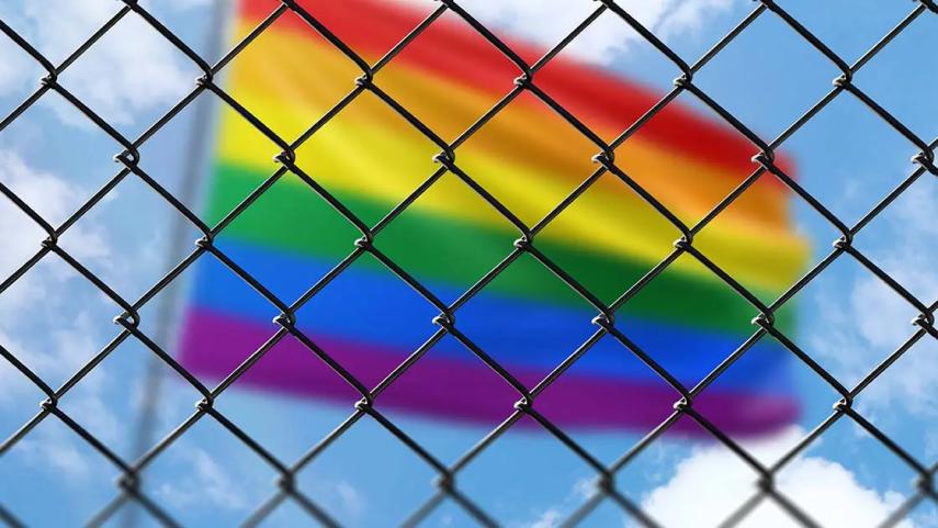 LGBTQ+