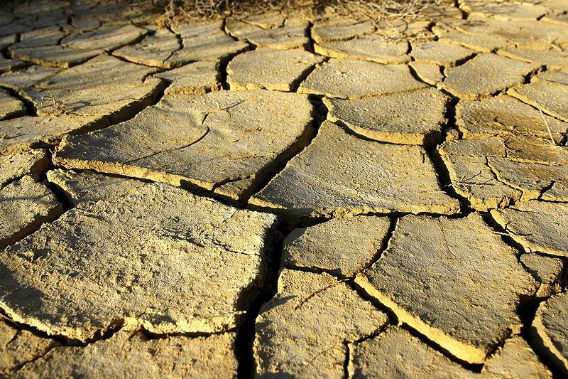 Water, energie en menselijke onveiligheid in het Midden-Oosten