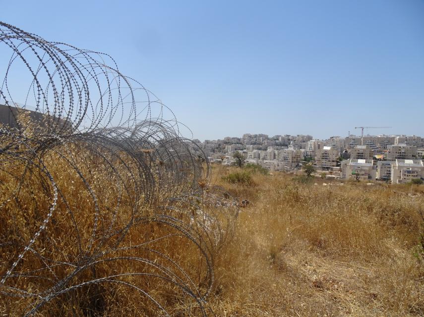Europa moet actie ondernemen tegen Israëlische annexatie Palestina