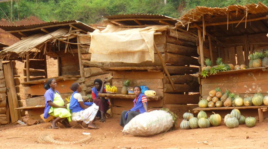 Kiel la mondo profitas de la riĉeco de Afriko