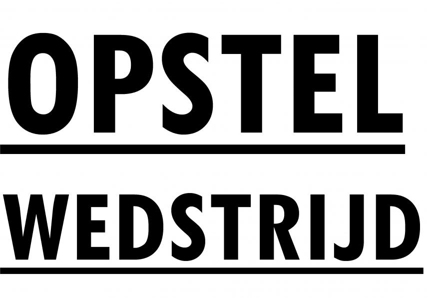 OPSTELWEDSTRIJD: Nalatenschap en ideeëngoed van Allende