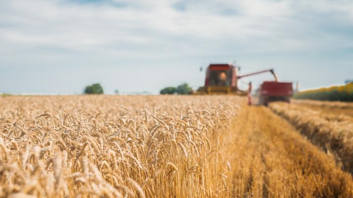 agro-industrie