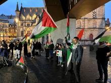 palestine flags