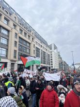 solidariteit