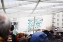 Tienduizenden stakers en spijbelaars voor het klimaat